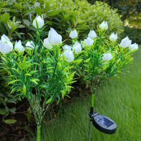 Gardenias Flowers