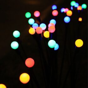 Warm Glow of the head Fireflies Flowers