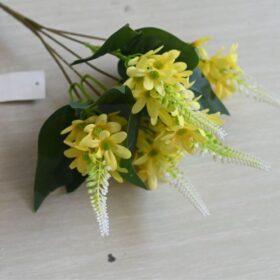 Primroses Flowers