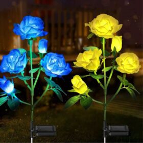 Roses Flowers