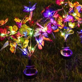 Butterfly Flowers