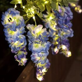 Wisteria Flowers
