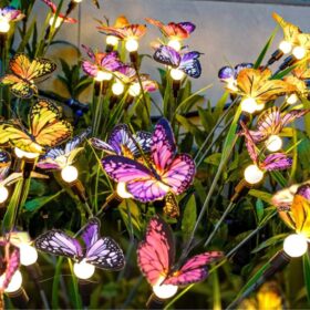 Butterfly Fireflies Flowers